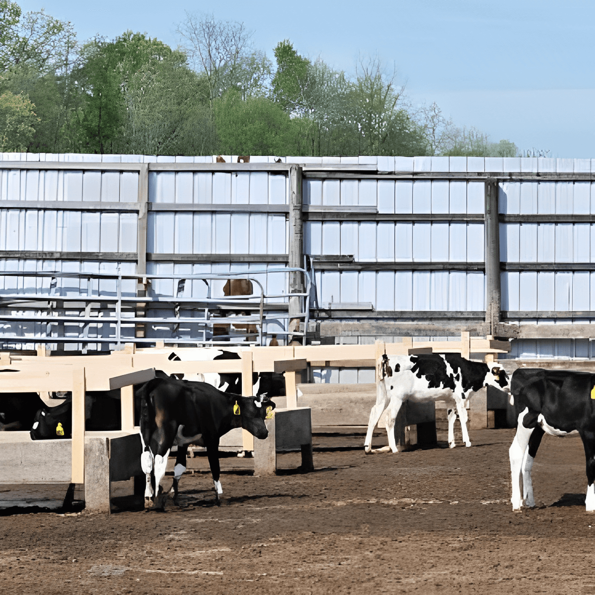 gooseneck-livestock-trailers-for-sale gooseneck-livestock-trailers-for-sale