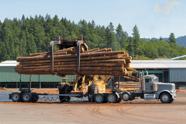 log-trailer-urban-forestry-services