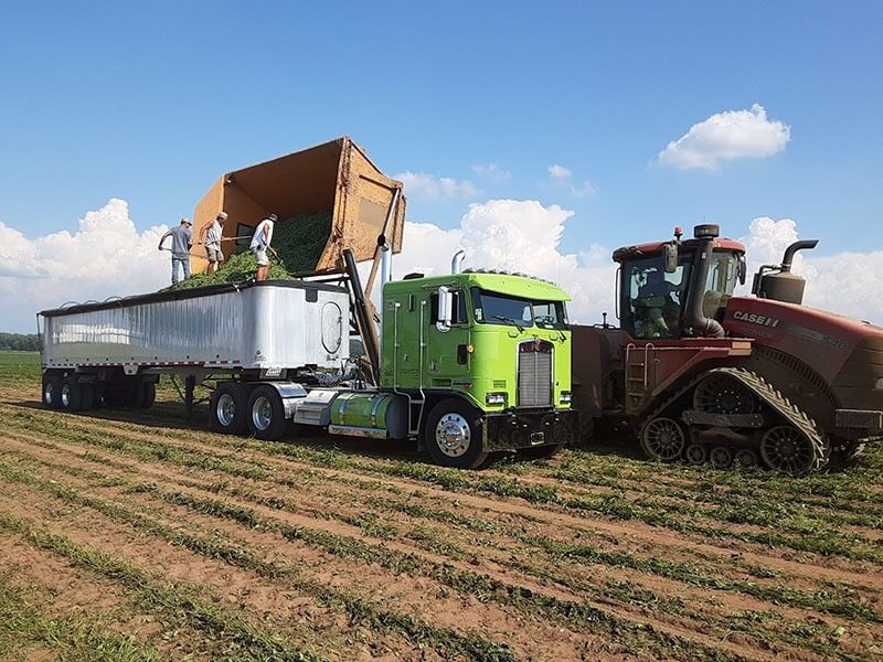 agricultural bulk cargo handling